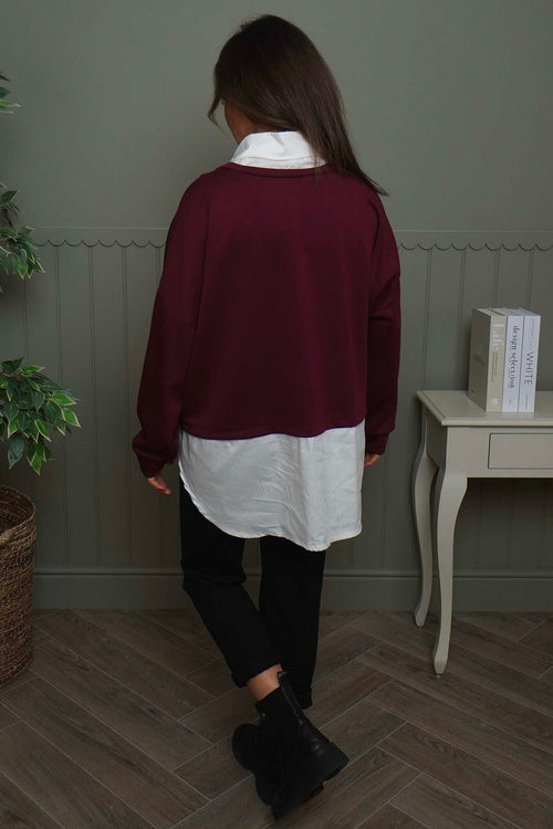 Leilani Collared Top Wine - Image 4