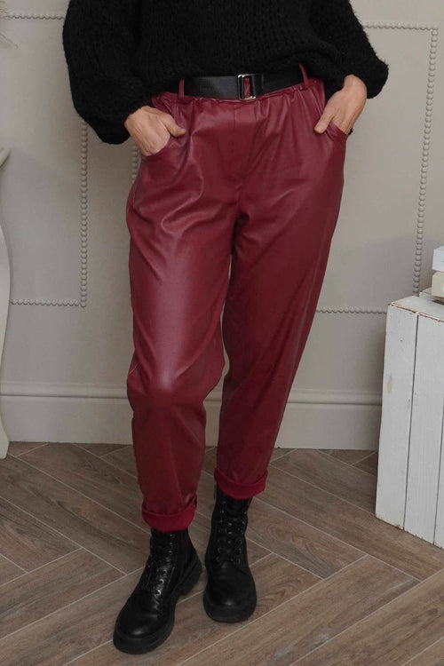Hilary Wet Look Trousers Wine - Image 1
