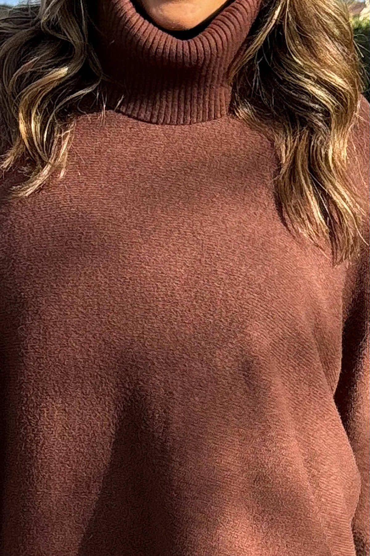 Jude Polo Neck Knitted Jumper Cocoa