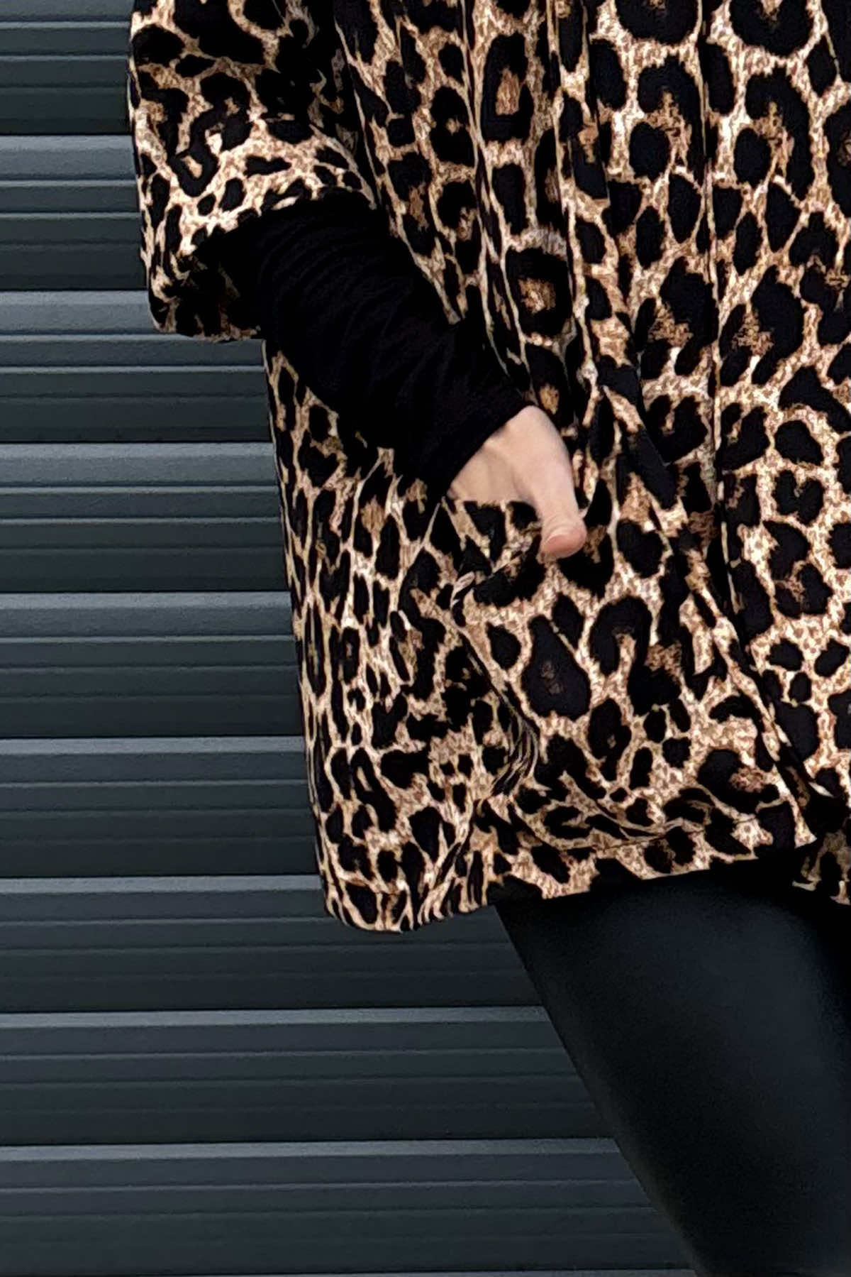 Aveline Leopard Print Jacket Camel