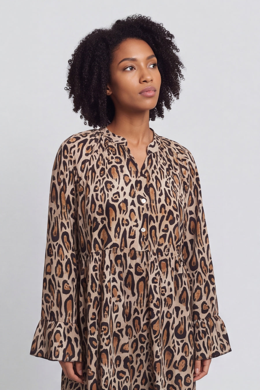 Jackie Leopard Print Dress