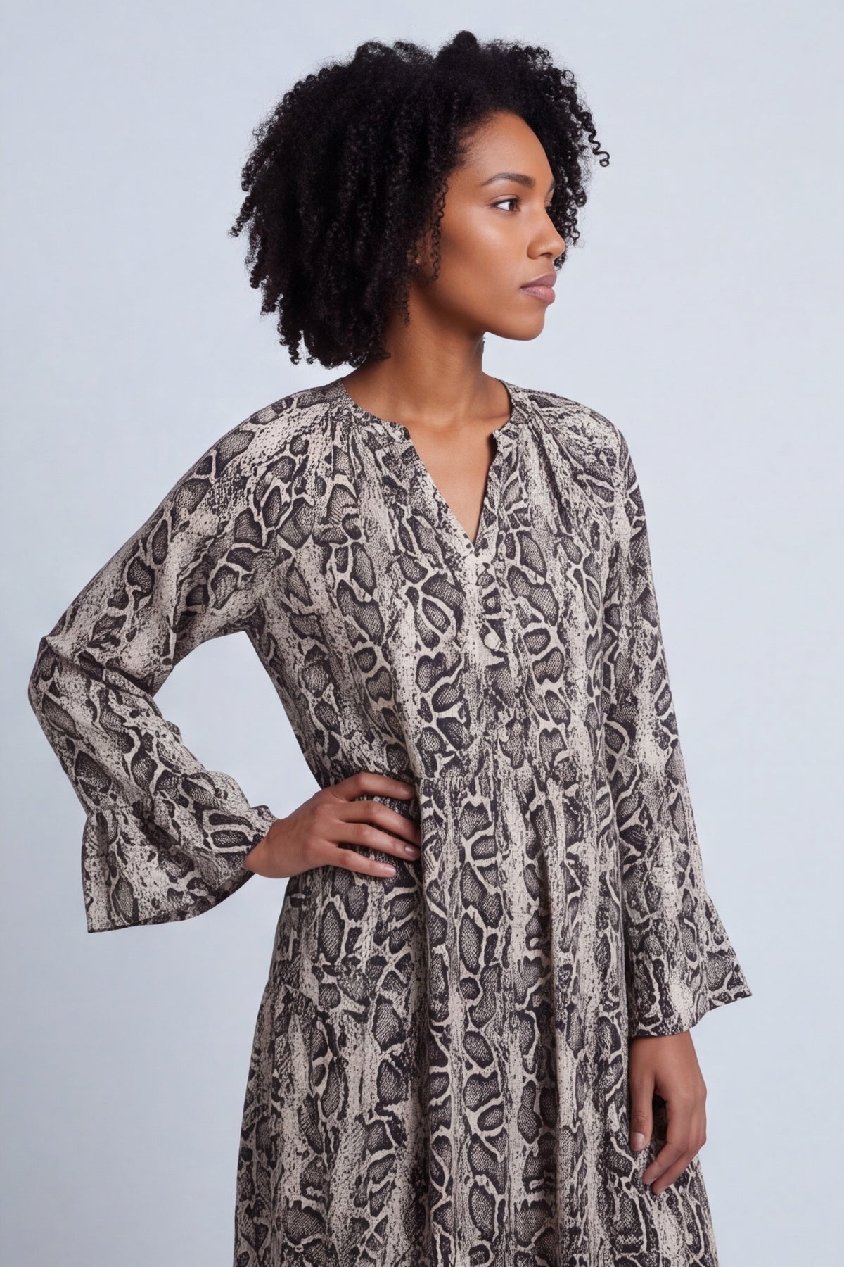 Jackie Snake Print Dress